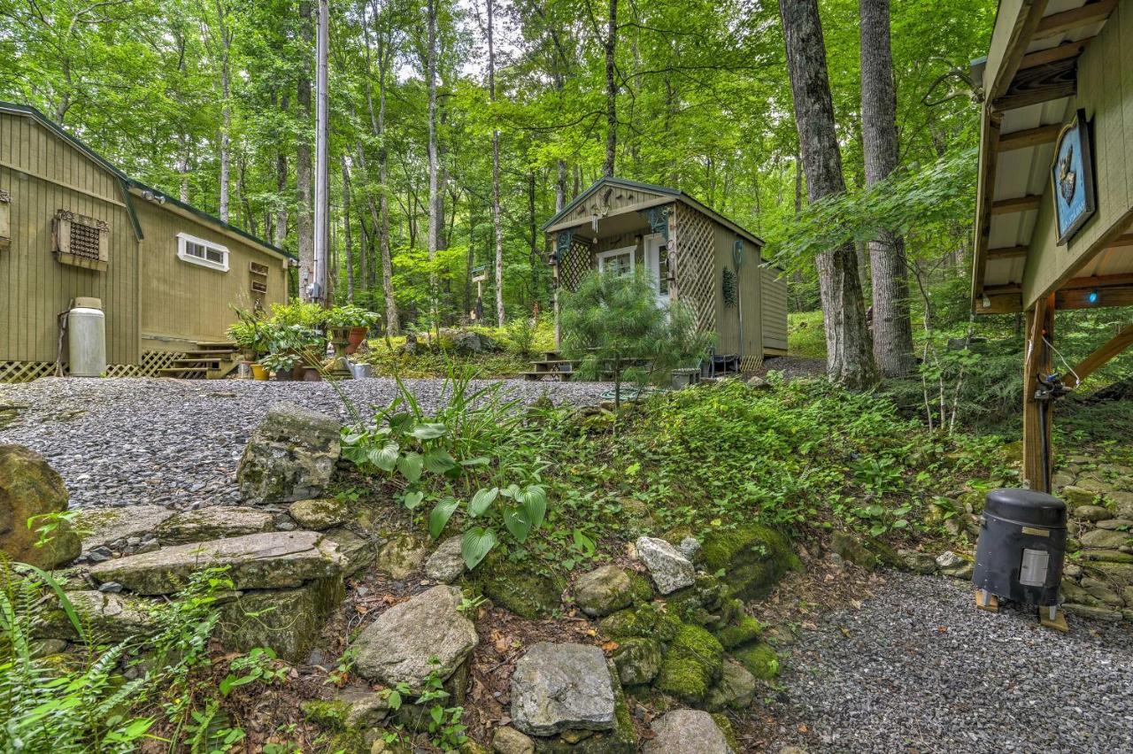 Lotsa Moose Lodge Pisgah Forest Waterfall Cabin! Burnsville Ngoại thất bức ảnh