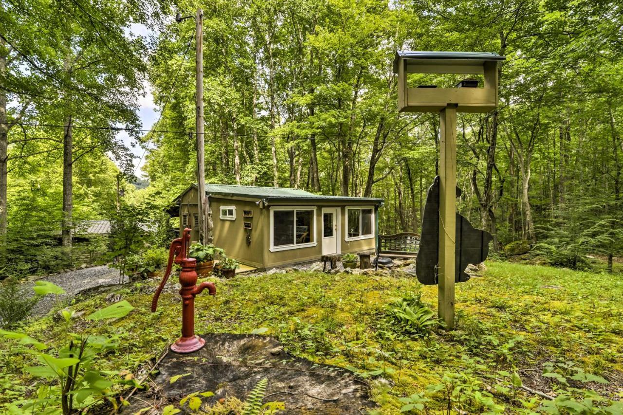 Lotsa Moose Lodge Pisgah Forest Waterfall Cabin! Burnsville Ngoại thất bức ảnh