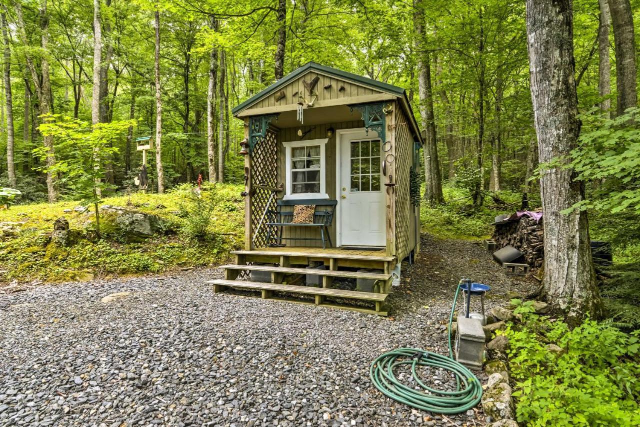 Lotsa Moose Lodge Pisgah Forest Waterfall Cabin! Burnsville Ngoại thất bức ảnh