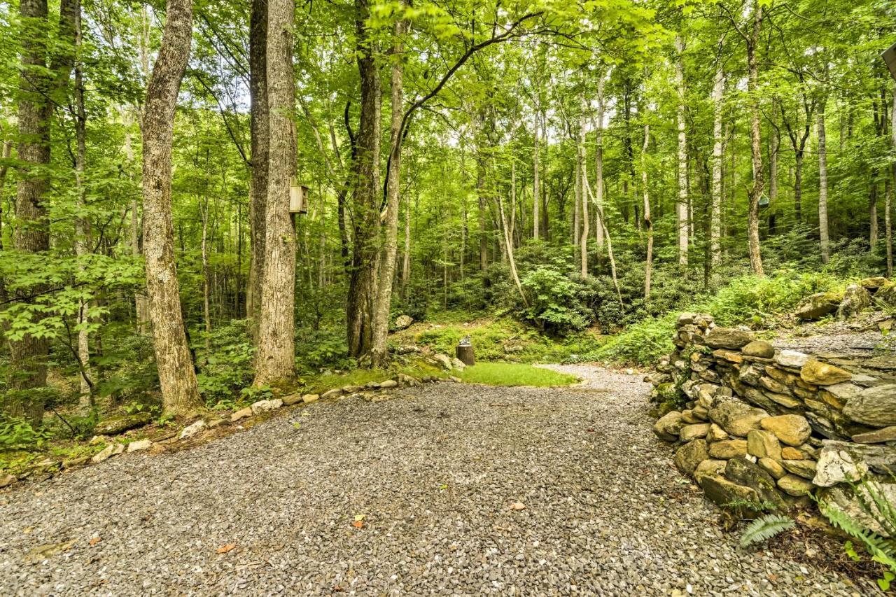 Lotsa Moose Lodge Pisgah Forest Waterfall Cabin! Burnsville Ngoại thất bức ảnh