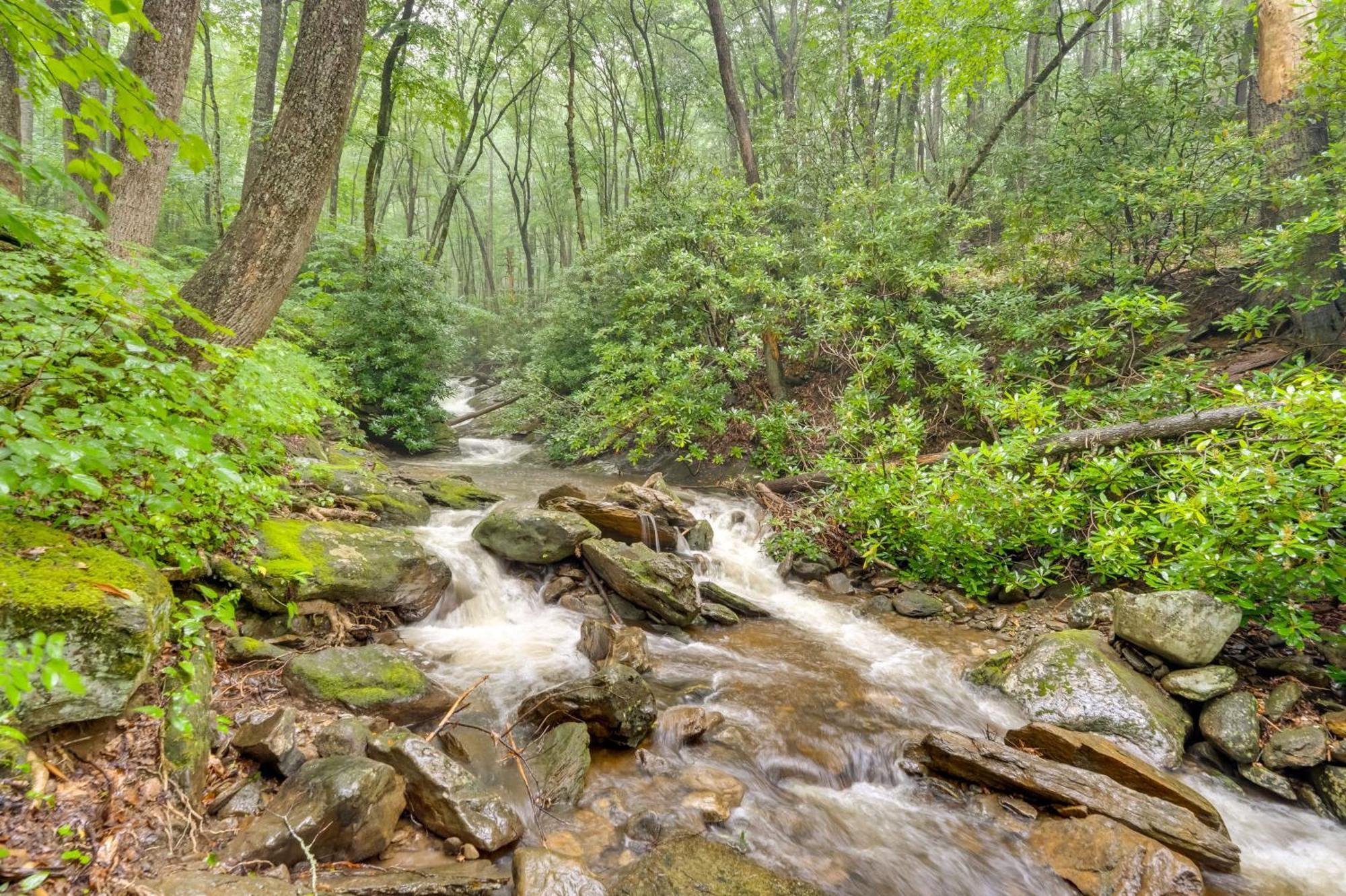 Lotsa Moose Lodge Pisgah Forest Waterfall Cabin! Burnsville Ngoại thất bức ảnh