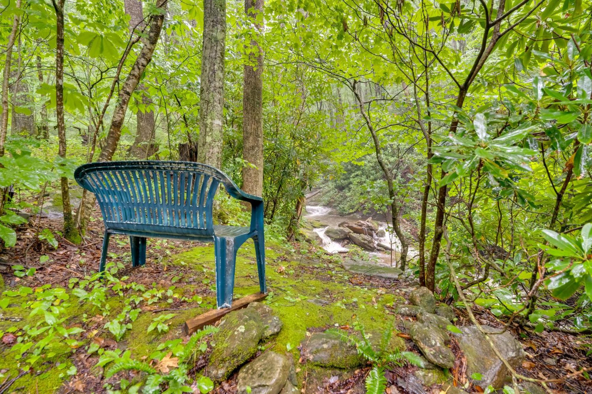 Lotsa Moose Lodge Pisgah Forest Waterfall Cabin! Burnsville Ngoại thất bức ảnh